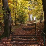 Herbst am Goldberg