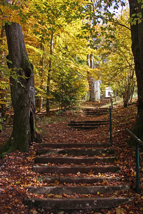 Herbst am Goldberg