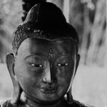 Buddha12web