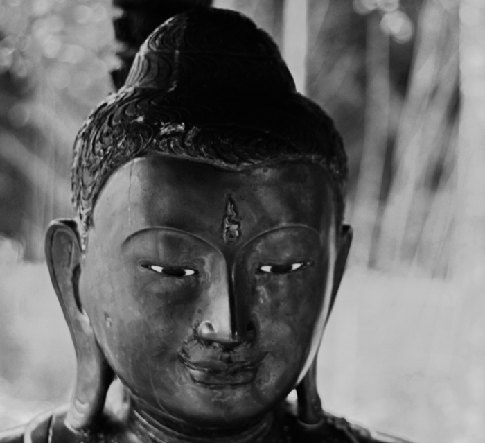 Buddha12web