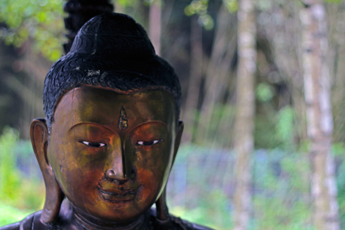 Buddha13web