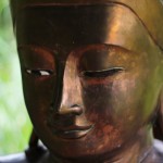Buddha14web