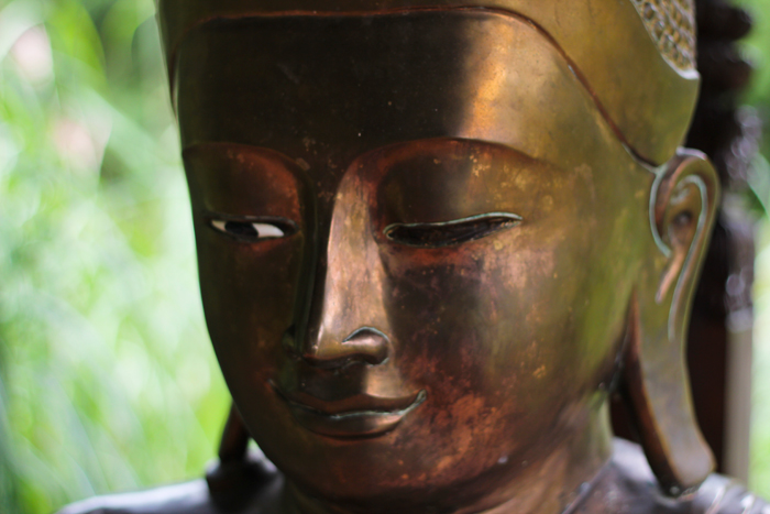 Buddha14web