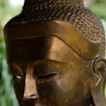 Buddha15web