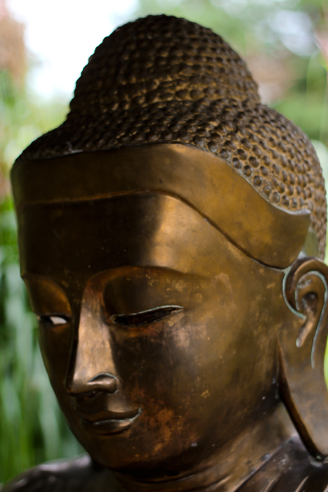 Buddha15web