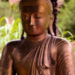 Buddha16web