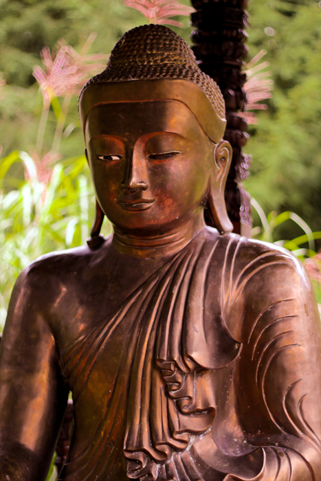 Buddha16web