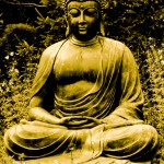 Buddha20web