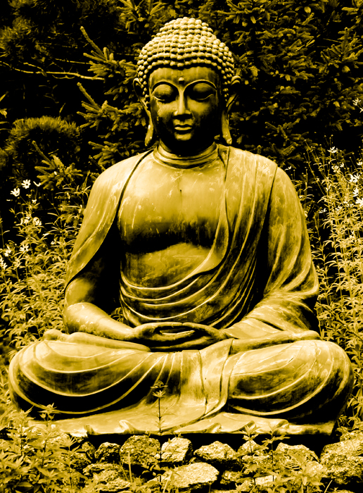 Buddha20web