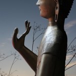 Buddha25web