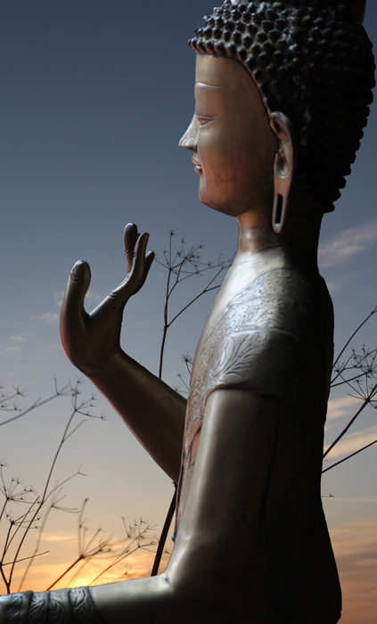 Buddha25web