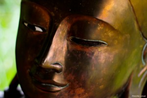 Buddha26web