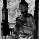 Buddha8web