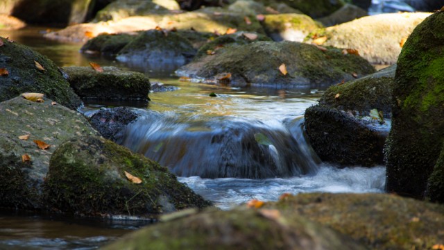 Höllbachtal im Herbst