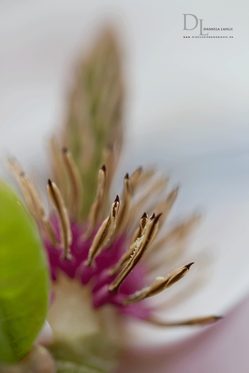 Natur-im-Frühling-21