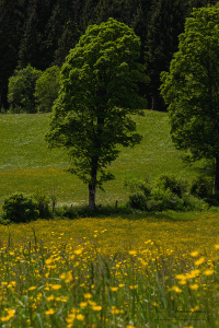 Flachau-1